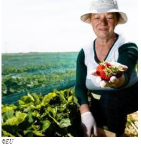 Nuovi prestiti per mobilitare un miliardo di euro per il settore agricolo e della bioeconomia Nuovi prestiti per mobilitare un miliardo di euro per il settore agricolo e della bioeconomia