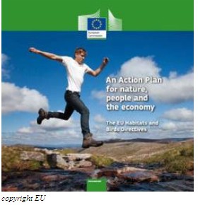 Piano d'azione dell'UE per la natura: pubblicati orientamenti per i progetti relativi alle energie rinnovabili Piano d'azione dell'UE per la natura: pubblicati orientamenti per i progetti relativi alle energie rinnovabili